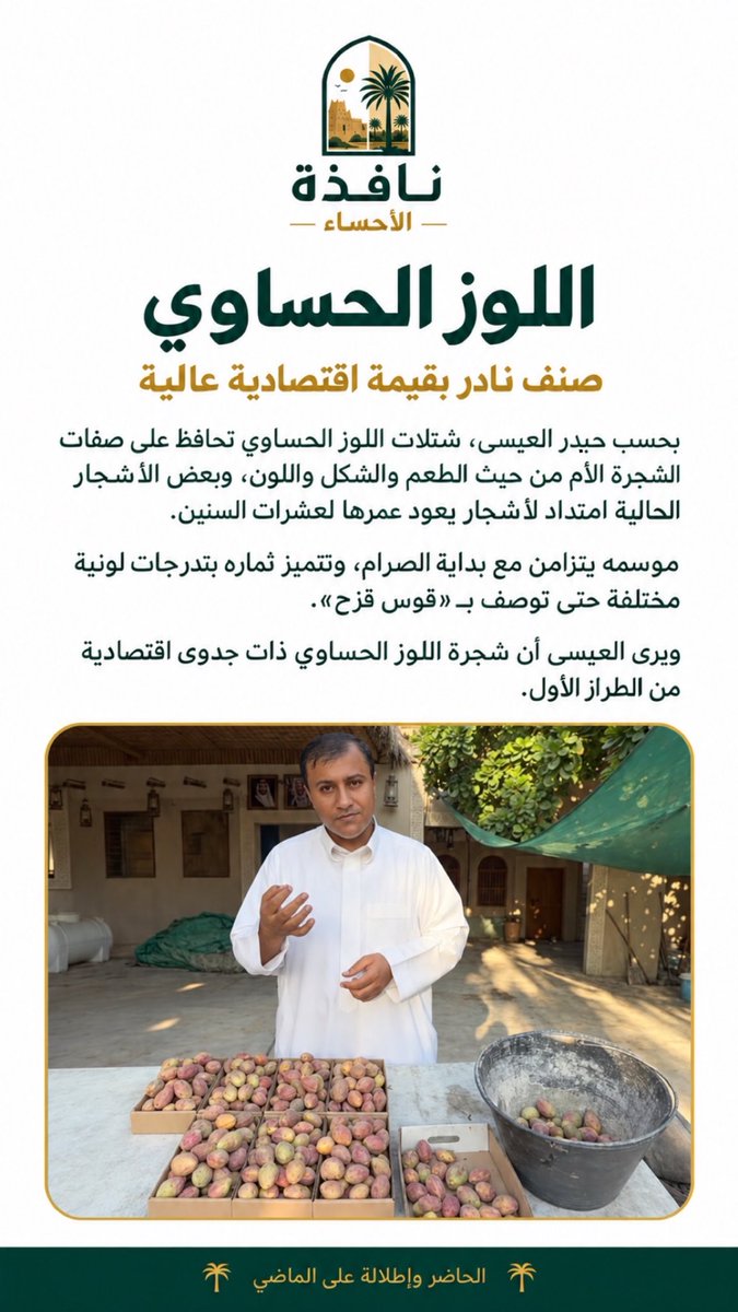 Hasawindow's tweet photo. اللوز الحساوي.. صنف نادر بطعم وشكل ولون ثابت 
    وبحسب حيدر العيسى، موسمه يتزامن مع بداية الصرام، وتتميز ثماره بتدرجات لونية حتى توصف بـ«قوس قزح»، مع جدوى اقتصادية عالية.
    #الأحساء #اللوز_الحساوي #زراعة https://t.co/sNIbv0LxgN
