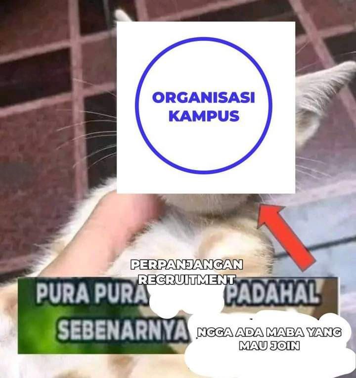 fess10nopember's tweet photo. Gk semua, tpi kebanyakan begini https://t.co/M1WGCrkkIz