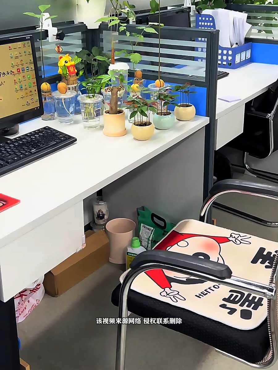 qine999's tweet photo. Just spent 10 whole minutes organizing my desk plant collection… and it’s only 2pm. Officially locked in for the rest of the workday.， https://t.co/NrJDIxibca