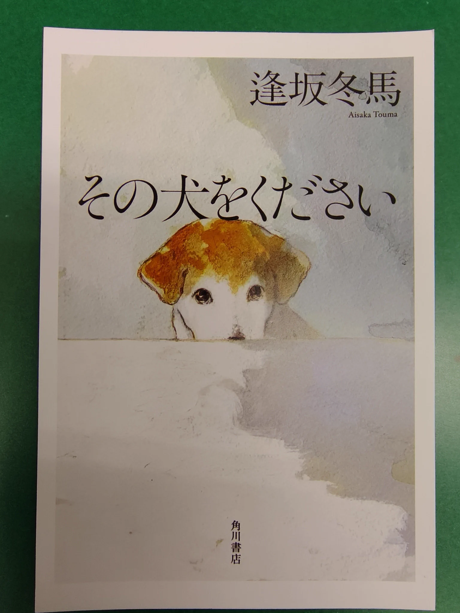 紀伊國屋書店 渋谷道玄坂店 on X: 