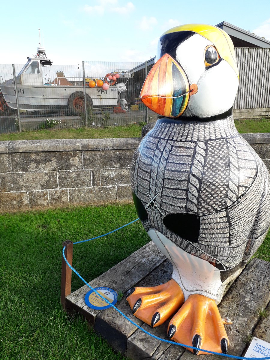 brew_with_view's tweet photo. A puffin knitting and wearing a knitted gansey
#AlphabetChallenge #WeekKforKn https://t.co/SEPV6Ujbqa