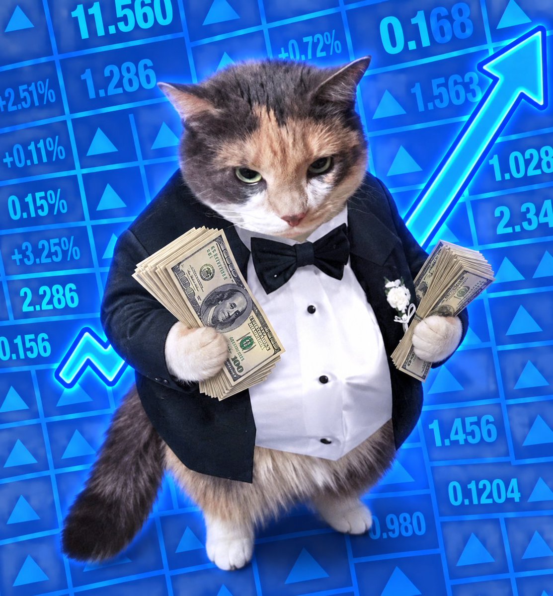 GPRO_PF's tweet photo. GENNY NARRA!

"Fat Cat" is someone with money and power, we never bonded this narra although we all want to be fatcats

https://t.co/vguRPcmH41 https://t.co/0aTpYD5sKj