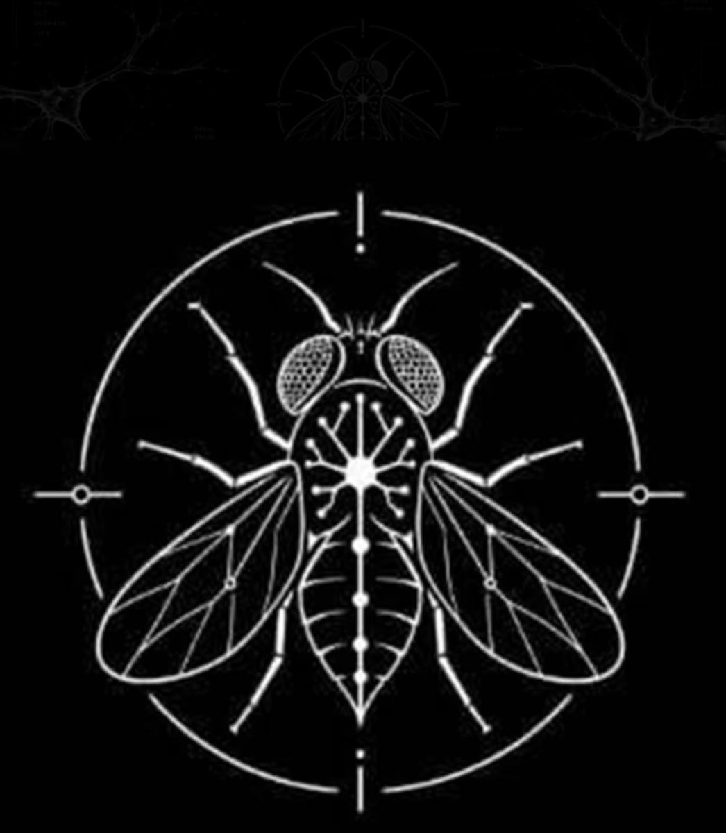 FlyBrainBSC's tweet photo. 0x6dfc68928e7b3b10ede1e2886eedb30d4a9a7777   Our token has gone live on bsc https://t.co/vZuVCKAQ2m