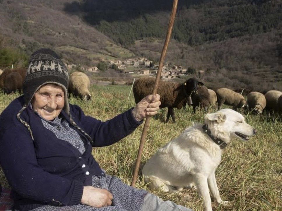 germa_gordo's tweet photo. Ahir va morir, ACS, als 99 anys, Marina Vilalta i Fajula, la pastora més vella de Catalunya. Na Marina no sols era una pastora, una gran dona. Na Marina era una Institució amb majúscules. Una gran pèrdua. https://t.co/ZQRQITqk8g