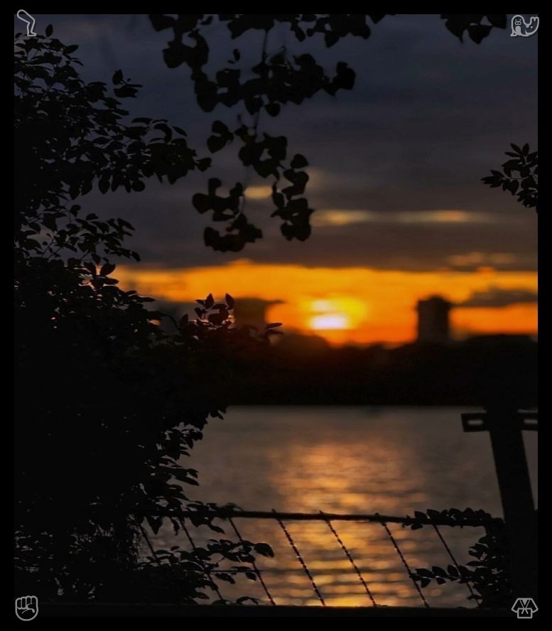 tmmkhs's tweet photo. 🧹 Apricot compote. This compote was included. Wander along unfamiliar, silent paths to clear a confused mind, progressing even when all answers aren't evident. Soft, realistic remedies will arise on their own throughout the lengthy path of personal development that lies before https://t.co/51jZ5zhoTk
