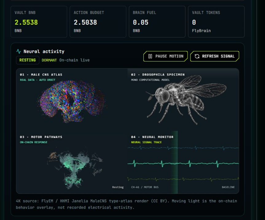 FlyBrainBSC's tweet photo. flybrain will take over the world https://t.co/hgVx2O20di