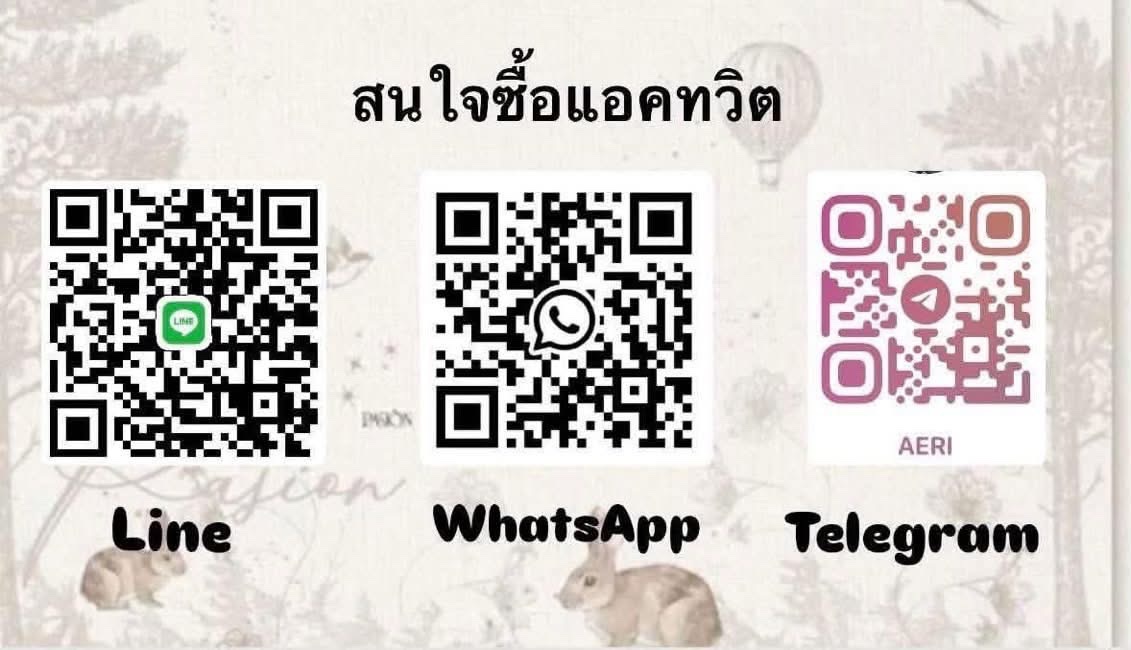 mowfts's tweet photo. 🐰 ขายทวิตขึ้นแท้กปีเก่า

    ✅ ราคาแอคละ 270/330/360฿ มีหลายฟอล ยกHotmail Gmail พร้อมส่ง เทสก่อนโอน เทสได้ทุก# สนใจทักมาได้เลยค้าบ 

#เทส #ขายแอคทวิต https://t.co/GG6nzf3tlr
