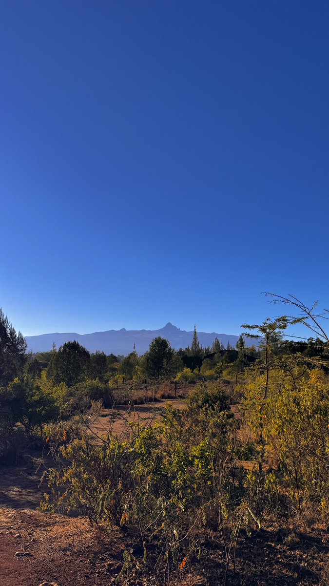 keith_munyao's tweet photo. Mornings by the mountain side🤌🏾 https://t.co/UnHgVz82E5