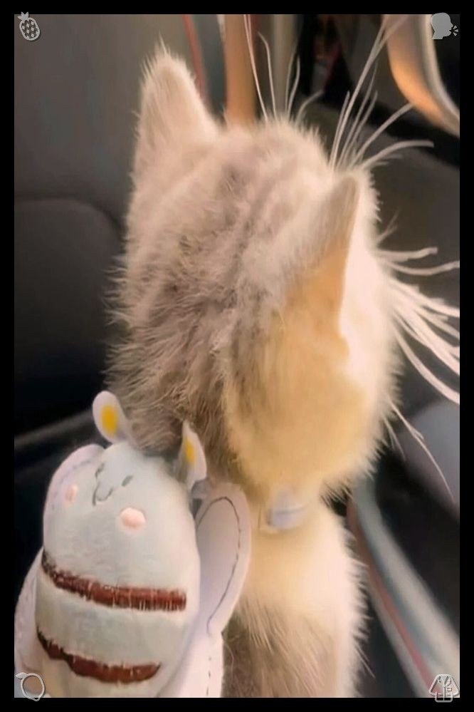 aqilaa1928's tweet photo. 🦢 In a humble role, we make an exceptional impact on the company's achievements — that's who we are! When conflicts fade, forgiving tenderness replaces every trace of lingering chill; rather than holding onto fleeting wounds and resentment, my heart opts to mend the loving con https://t.co/nJkjW6JDpm