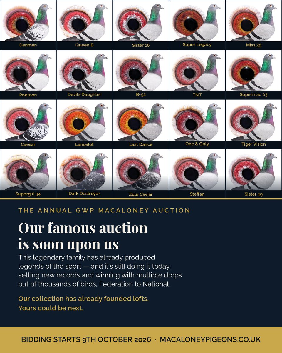 TumleyLofts's tweet photo. Many people have been asking when our famous GWP Macaloney auction is going to take place, well we have set the date and perpetrationsare underway 😁
https://t.co/2yn6LGGAoU https://t.co/zL3R0OnWcv