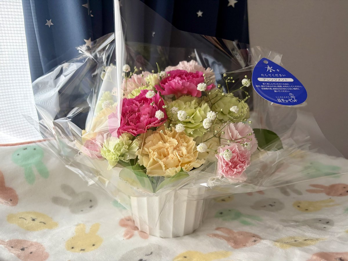 jienne22's tweet photo. 動物病院からお花をいただきました。
最期のまでずっとお世話になり感謝しかありません。この病院で、スタッフさんたちがいたからこそぎんちゃんも頑張れたと思います。
本当にありがとうございました。 https://t.co/MgZ2ZOSVZF
