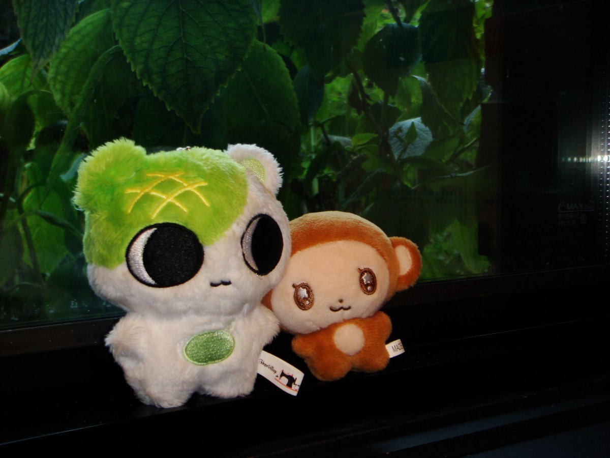 eocaurij's tweet photo. 🍈 https://t.co/qtsXiRzH11