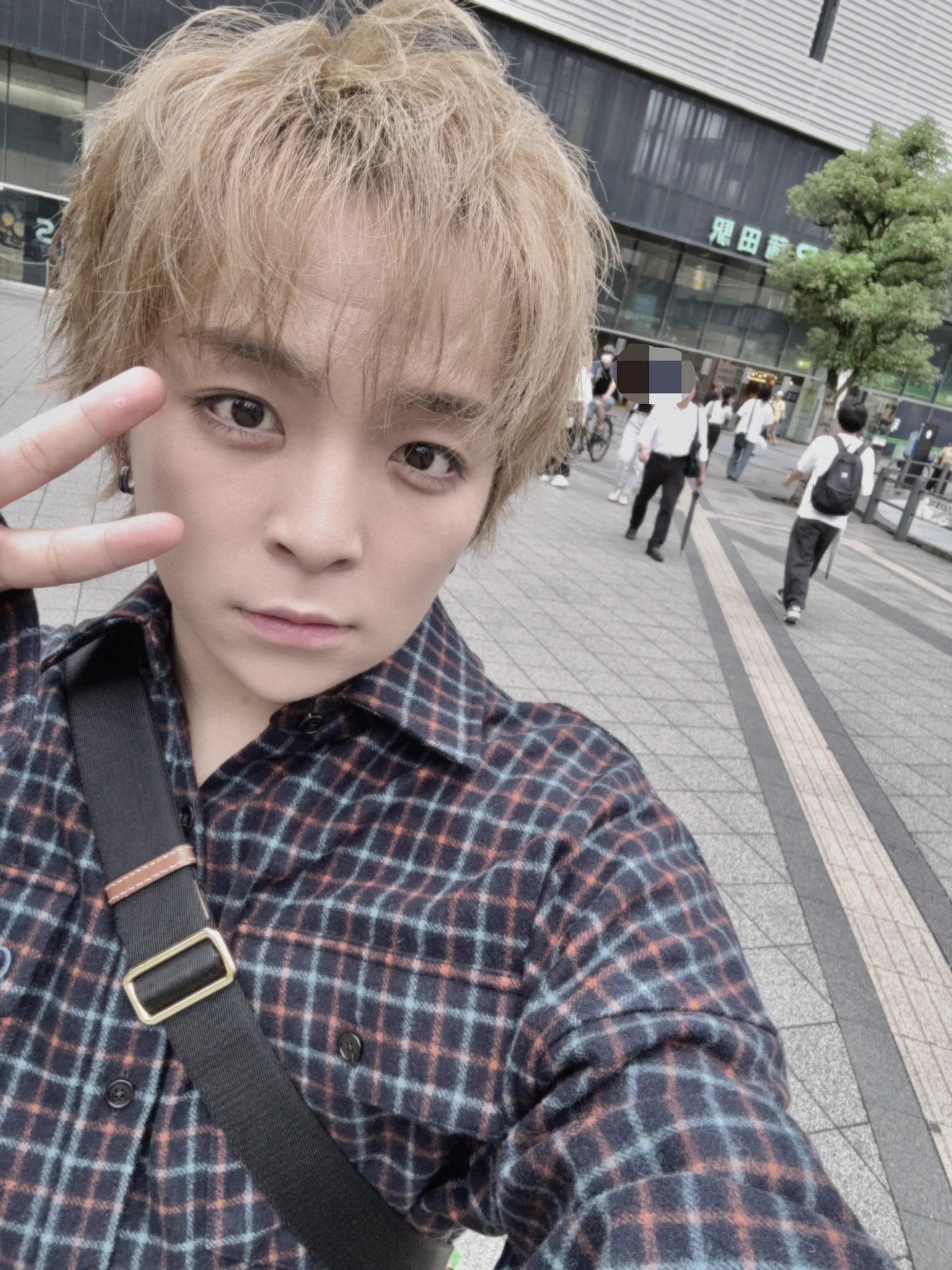 あおいくん(MeseMoa.) (@nicodance_Aoi) / X