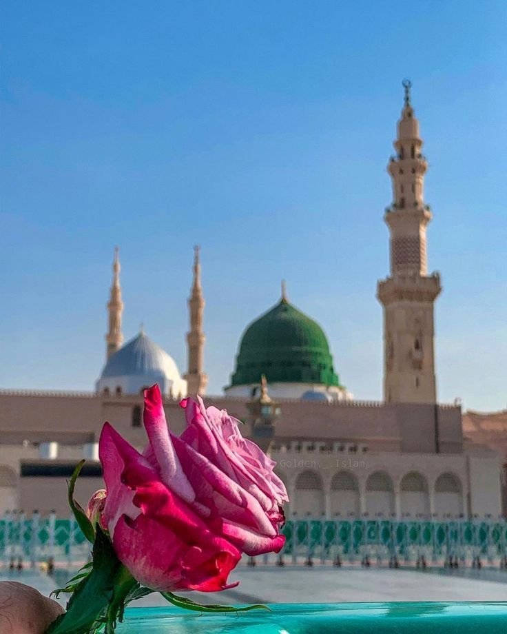 Itx_BinteHawa06's tweet photo. میں جو تڑپ کے پکارو یا رسول اللّٰہﷺ !
یہ مسئلہ ہے ، وہ مسئلہ، فلاں مسئلہ ہے۔۔
وہﷺ مسکرا کر کہیں میرے ہوتے ہوئے
 یہ بھی کوئ مسئلہ ہے!
😭💔🤲 https://t.co/3q98hHHhMd