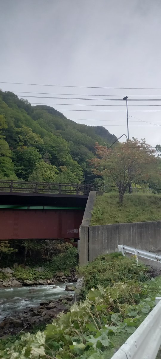 mtview_3011's tweet photo. 本日の層雲峡は晴れのち曇りではございますが、涼しい風が、秋を感じます・・。
黒岳では、「日本一早い紅葉」が始まっており、山頂付近は見頃を迎えておりますよ♪
層雲峡温泉街でも、徐々に色付き始めています。
写真は、9/15現在のホテル前の写真です！！
本日も空室あり〼！！
＃層雲峡の紅葉 https://t.co/6atxrVQ0QS
