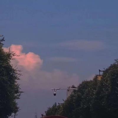 mbissonoldgoat's tweet photo. 🍀 🌺 My dog is snoring like a chainsaw https://t.co/S5Emdubmch
