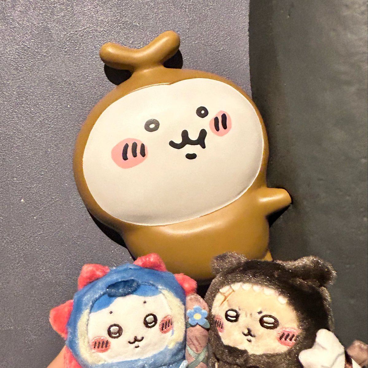 luvhachi_'s tweet photo. かぶちゃん♡
#ちいかわ https://t.co/Txy5RgelMr