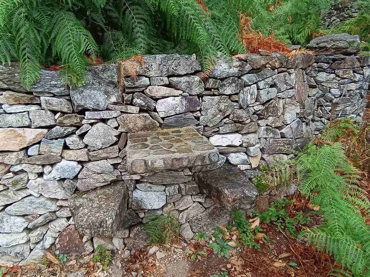 ChristineAitel1's tweet photo. Au creux du vieux mur, la pierre s’est faite table. Deux sièges attendent l’âme qui voudra s’y poser, tandis que les fougères chuchotent des secrets anciens. 🌿
Belle journée 💚 #RefugeDePierre #MurRomantique #NatureEtTendresse #InstantsSuspendus #FougèresEtSecrets #PiqueNique https://t.co/L5UbS5mSJm