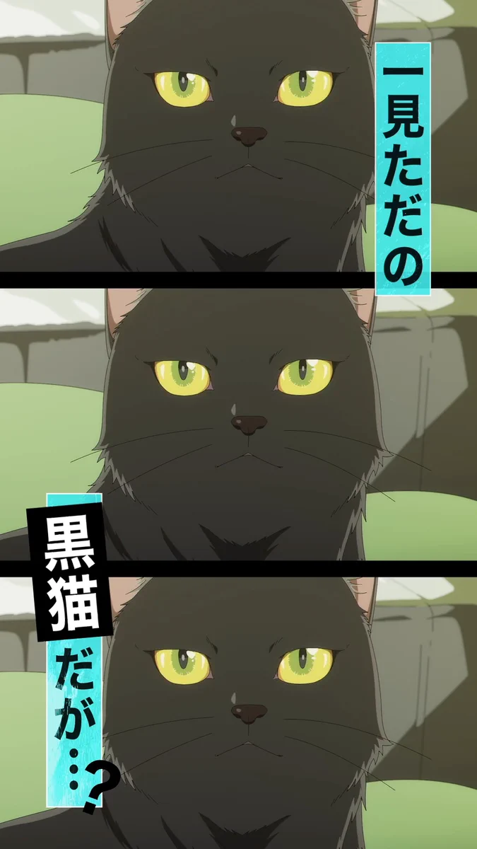 TVアニメ『BLACK TORCH』公式 on X: 
