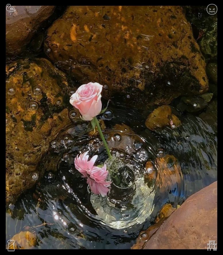 qaaa614's tweet photo. 🏂 Apple brandy Bottled and ready Hear the gentle mountain streams trickle across polished round stones, while the evening glow carries away your worries and envelops your spirit in a gentle, calming peace https://t.co/wOPoCxM6VK