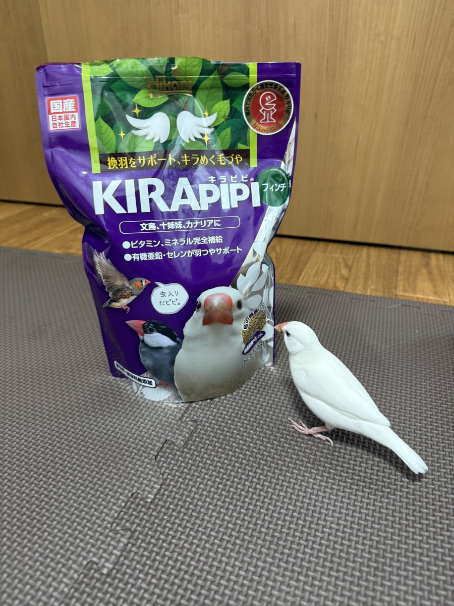 Pekoyvtk's tweet photo. キラピピネットで買ったらめっちゃ大きかったww https://t.co/pQUxAXCmcJ