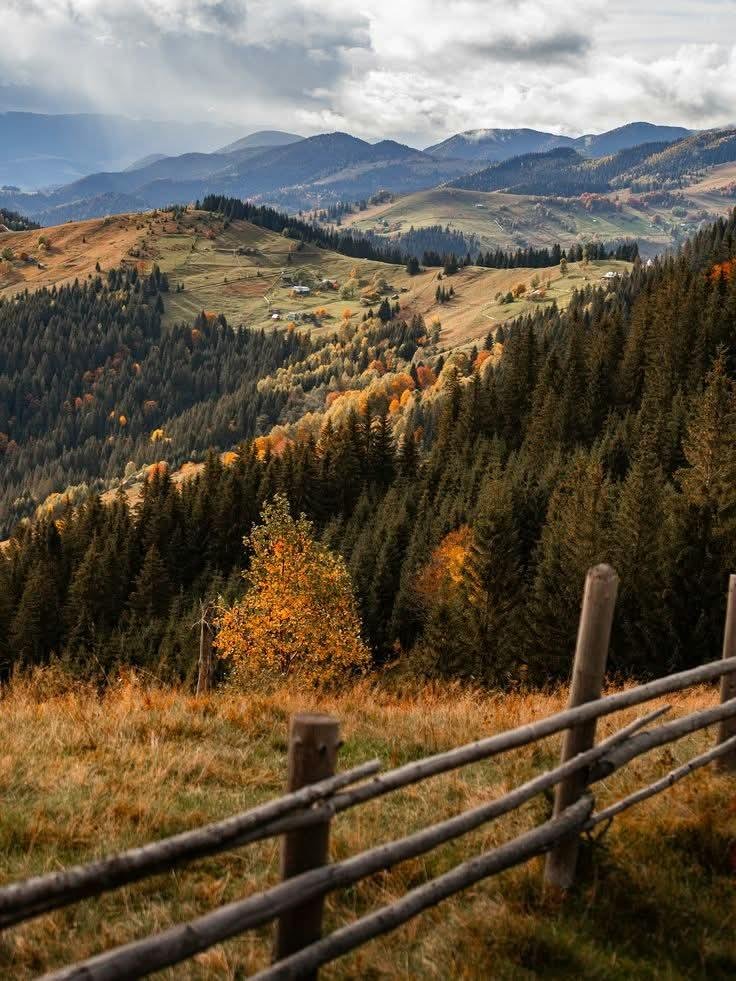 earthviewss1's tweet photo. Autumn in Dolomites, Italy 🇮🇹 https://t.co/tIIMVvbCoO
