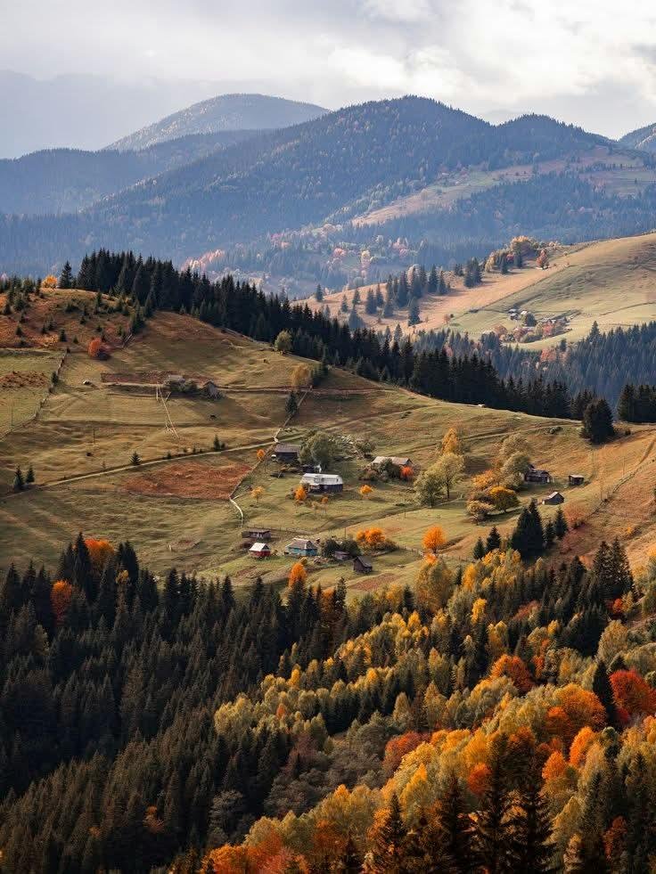 earthviewss1's tweet photo. Autumn in Dolomites, Italy 🇮🇹 https://t.co/tIIMVvbCoO