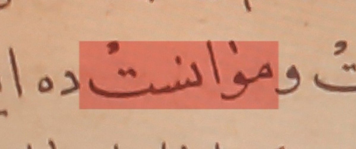 yesimyrr's tweet photo. Mizacların uymasıyla gelen karşılıklı ısınma:

MÜVÂNESET. https://t.co/y2QSxVJS1K