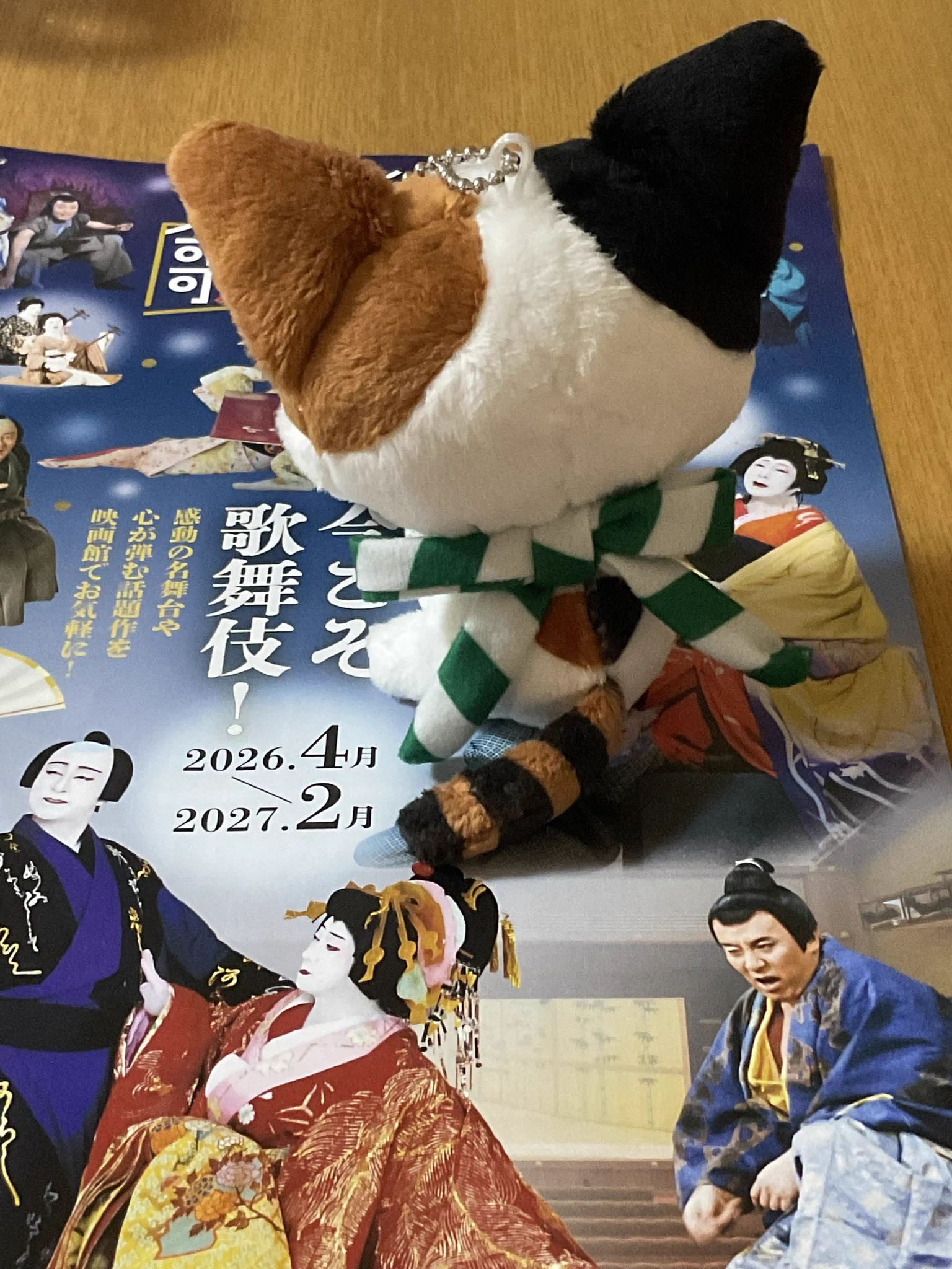 はこ島 志保👩🏻‍🦯放送大学13年生 on X: 