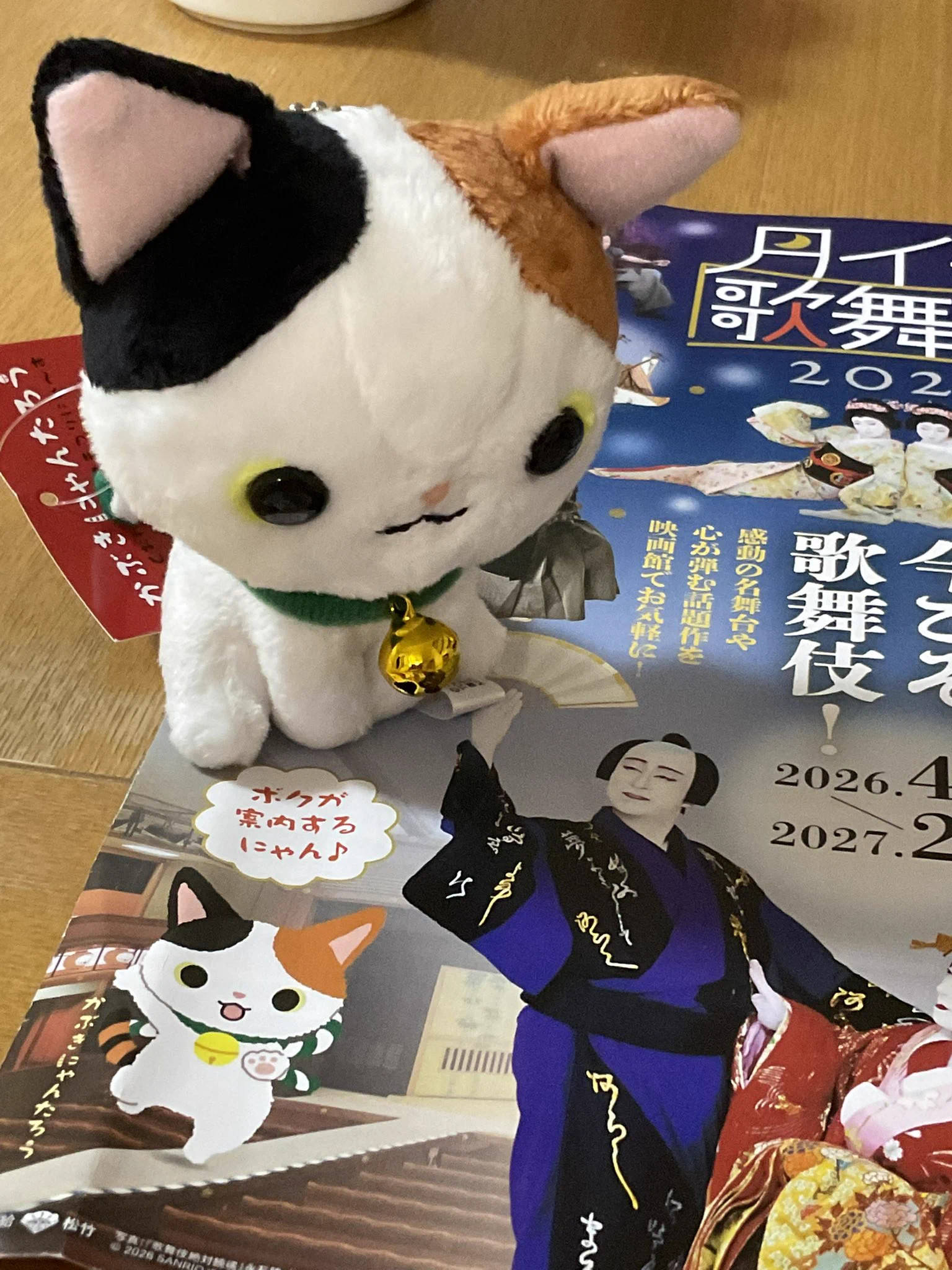 はこ島 志保👩🏻‍🦯放送大学13年生 on X: 