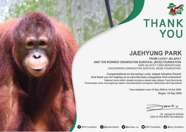 chorongchorongn's tweet photo. Dedicated this small action to adopt the lucky jelapatπ«Ά @bornean_OU
Selamat Ulang tahun yg ke 34 tahun abang @eaJPark, semoga selalu banyak berkat dan bahagia yg hadir dihidupmu ya abang. Terima kasih karena sudah terus menginspirasi untuk menjadi lebih baik. #TheChapter34ofeaJ https://t.co/CDWYtjPUNO