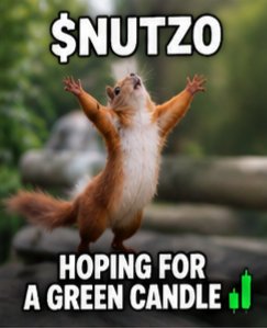 nutzoz's tweet photo. DAY 3— NUTZO IS GETTING LOUDER

3 days in, and the Nutzo community keeps growing 

More memes.
More vibes.
More Nutzo energy. 🥜

We’re still early.

Keep sharing the memes, bring your friends, and let’s see how far this crazy little nut goes 😊
#NUTZO #MEMECOIN #SOLANA https://t.co/lwk82flpKh