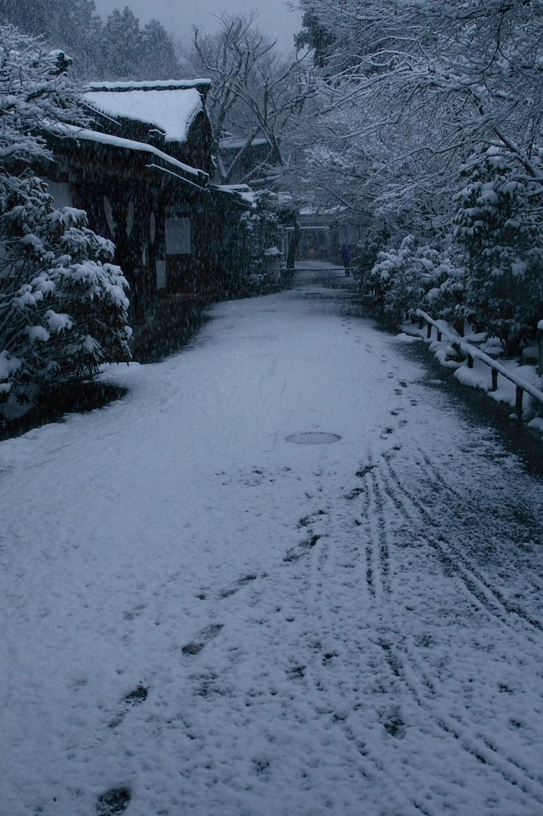 kellogg_erin's tweet photo. 600万の外車がパーになって落ち込んでたはずなのに、1日経ったらミーム動画見ながらゲラゲラ笑ってる辺り、自分のメンタルの強さに自信を持ち始めてきた！
何なら、笑いのネタにできて、知りたいがめっちゃ笑ってくれてオモロイ🫨 https://t.co/q3Mk1ezr77