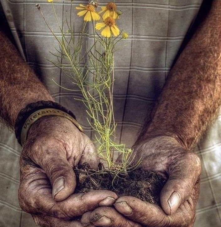 VFEvB9GIxkh2CMe's tweet photo. " من يعتني بحدائق قلبه، حتما ستزهر..
ومن يوكل هذه المهمة لغيره، سيقطف ثمار الخيبة والحسرة..
فإن البذرة التي في قلبك، لن يستطيع أحد أن يجعلها تزهر إلا أنت بفعلك.. بعنايتك.. بحرصك واهتمامك.. أنت المسؤول الأول " https://t.co/IfvwjrNKvm