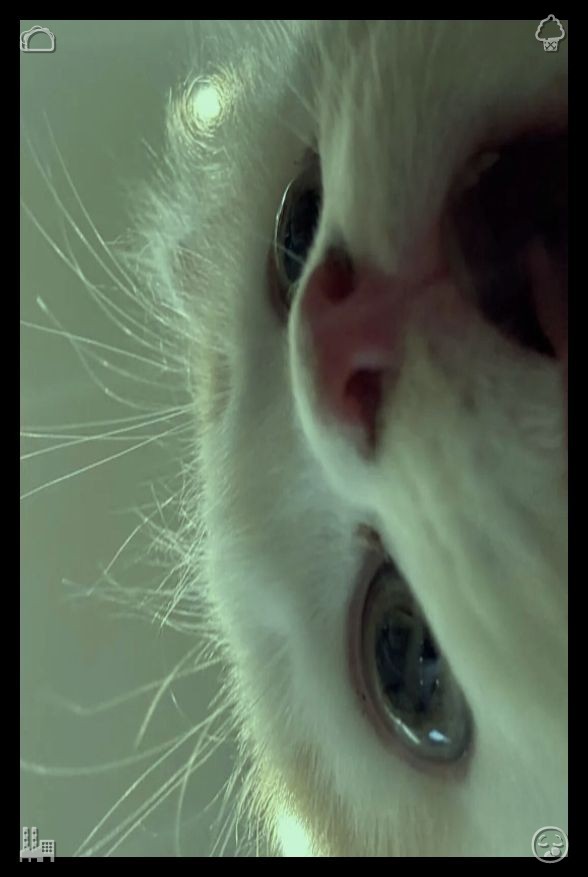 ipaviavalle_'s tweet photo. 🍊Pet store featuring a cat Purchased foodAvoid wasting idle moments on pointless, mind-numbing distractions. Set aside leisure time for education, contemplation, and personal development that molds the future you aspire to create. https://t.co/rqywlgLZmm
