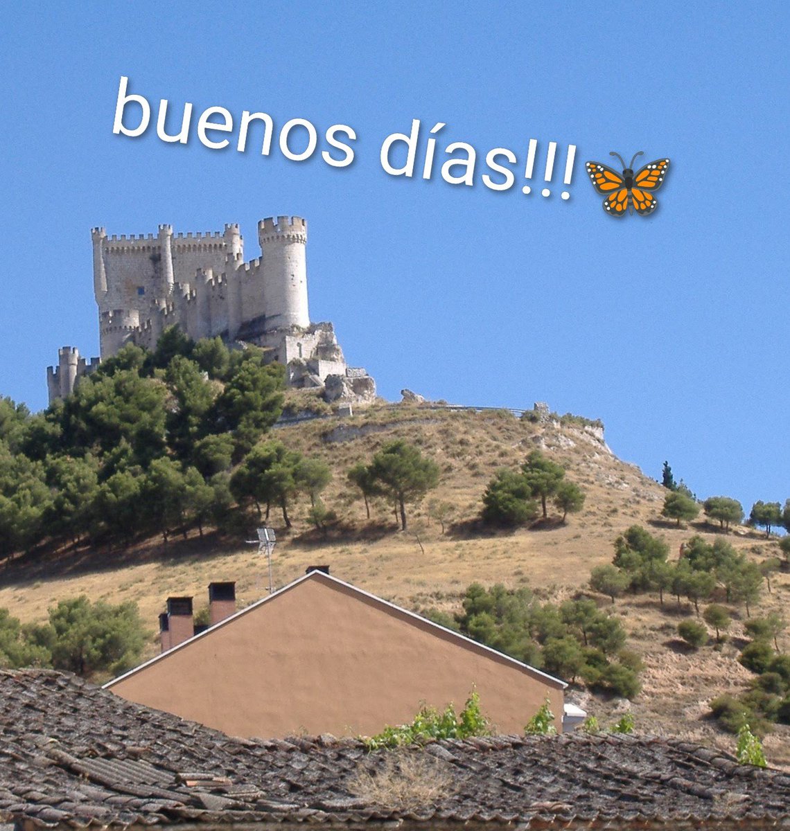 hessellius's tweet photo. https://t.co/o7VztT2UDJ