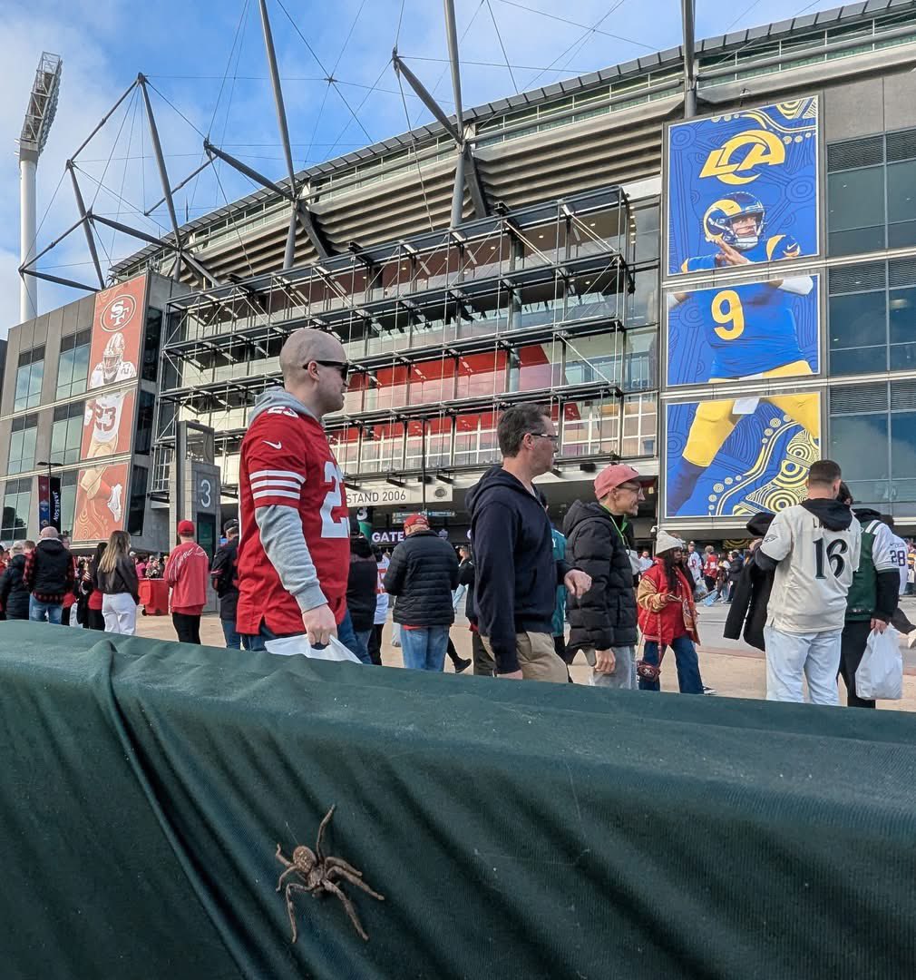 BicycleAdagio's tweet photo. Best photo of the NFL in Melbourne last week. https://t.co/bV0bcQLNVt