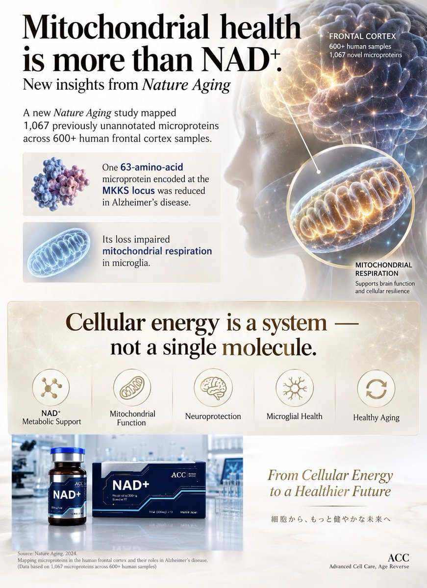 ACC_BioMedical's tweet photo. Mitochondrial health is more than NAD⁺.

New Nature Aging research highlights the role of previously unknown microproteins in mitochondrial function.

Cellular energy is a system — not a single molecule.

#NAD #Mitochondria #LongevityScience #BrainHealth #accNAD https://t.co/1panXi3f5n