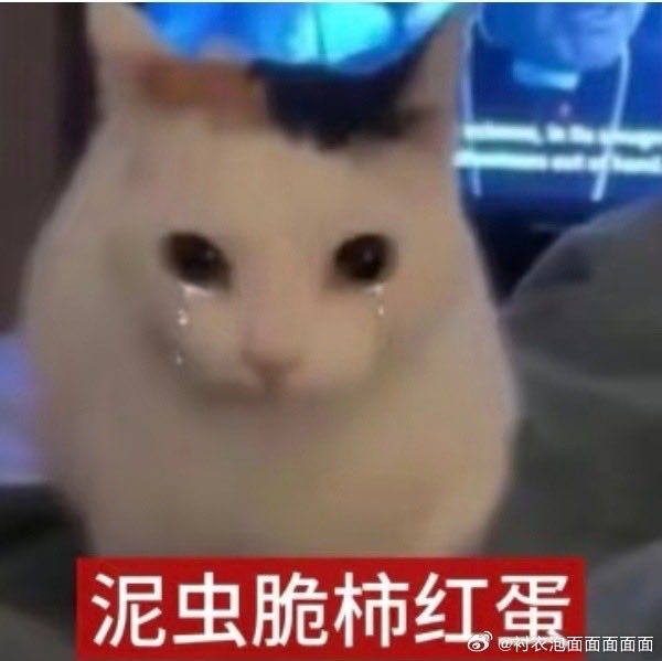 wzmknhbgh's tweet photo. 班里有些人我已经不知道怎么评价了🙃有些话说出来我听到只感觉这辈子我找茬都说不出来……因为私人恩怨去嘲讽人家学习成绩并且嘲笑人家努力学习这种行为真的很恶心。。过度敏感觉得所有人都在学自己讲话，每天呆在学校以在别人背后说人坏话为乐…好像将恶意当作了精神支柱…… https://t.co/61roOvyn4n