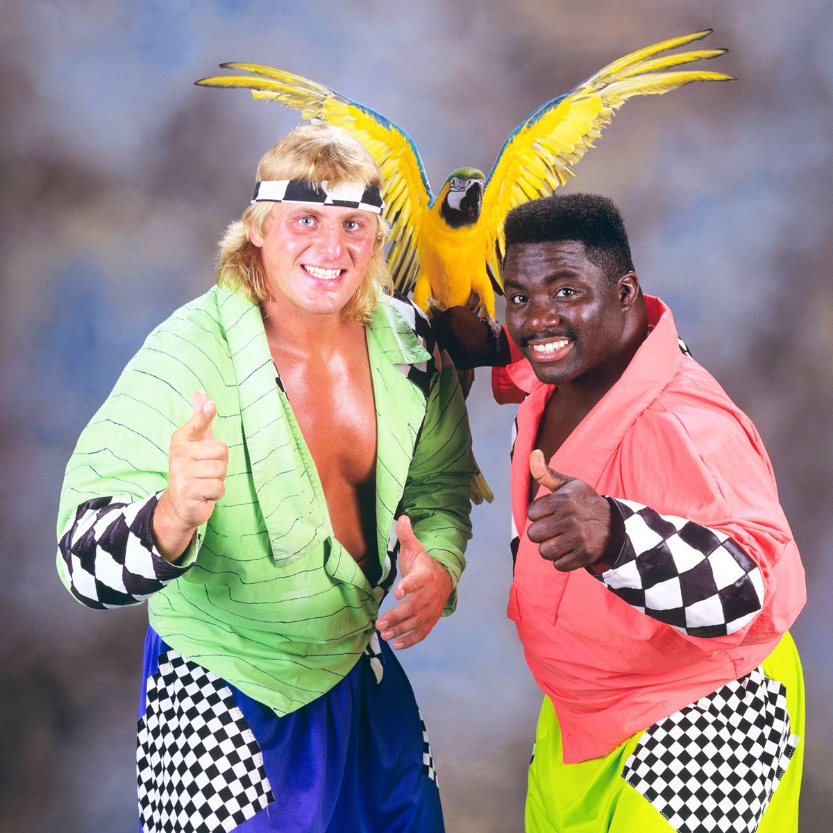 WWFWrestling1's tweet photo. Tag Team Tuesday! Owen Hart & Koko B. Ware - High Energy! ππ¦ #WWF #WWE #OwenHart #KokoBWare https://t.co/uHGIrGrVuS