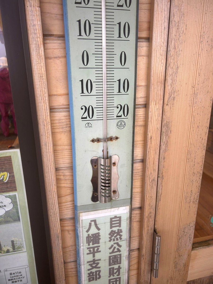 cbpsc1's tweet photo. シールが最盛期のころ、近所のスーパーでも「シールはじめました！」とかPOPが出てて冷やし中華かよ！って。食品のスーパーでもシール扱うくらいバカバカしい現象だ！ https://t.co/J6gG20KHxb