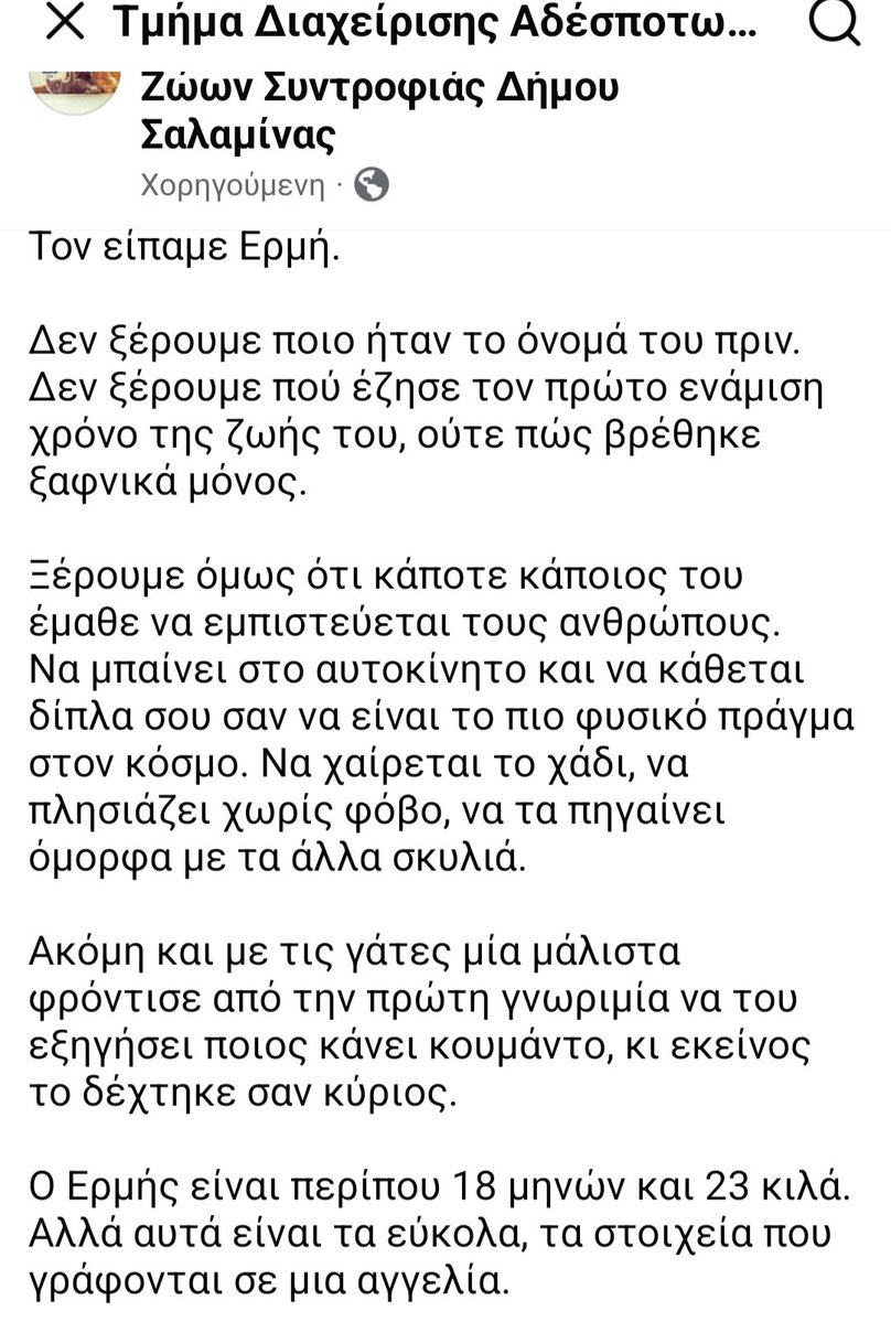 KatKatPt's tweet photo. 🆘️🆘️🆘️
Ο Ερμής
Ενας υπέροχος σκυλάκος 18 μηνών κ 23 κιλά αναζητεί σπίτι
Κάθεται σαν κύριος στο αυτοκίνητο,χαίρεται το χαδι,τα πηγαίνει πολύ καλά με άλλα σκυλιά κ γατιά
Εμβολιασμενος,θα στειρωθει σύντομα
Ενας άνθρωπος για τον Ερμή;
Rt 🙏 🙏 🙏 https://t.co/3BBLTgq9P0