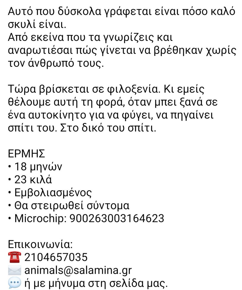 KatKatPt's tweet photo. 🆘️🆘️🆘️
Ο Ερμής
Ενας υπέροχος σκυλάκος 18 μηνών κ 23 κιλά αναζητεί σπίτι
Κάθεται σαν κύριος στο αυτοκίνητο,χαίρεται το χαδι,τα πηγαίνει πολύ καλά με άλλα σκυλιά κ γατιά
Εμβολιασμενος,θα στειρωθει σύντομα
Ενας άνθρωπος για τον Ερμή;
Rt 🙏 🙏 🙏 https://t.co/3BBLTgq9P0