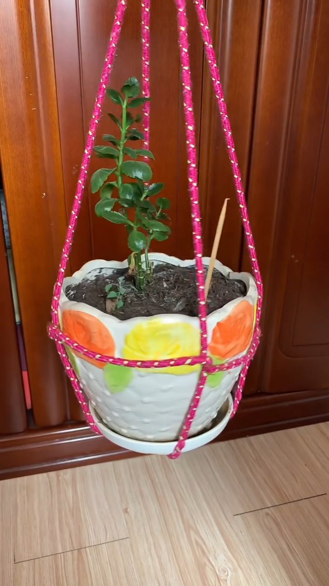 Mirrors1989's tweet photo. Just finished this cute mini macramé plant hanger—perfect for my office window! Handmade with love, small craft big joy. #DIY #HandmadeDecor, https://t.co/tyrUMXzaeI