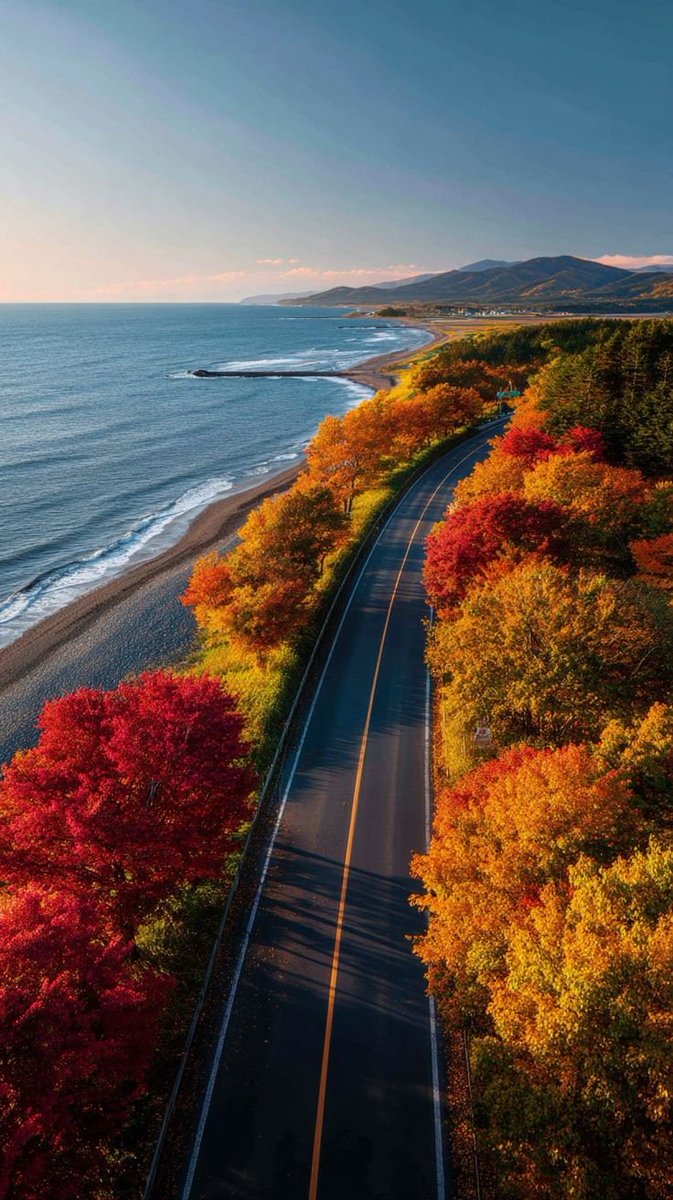 MARY_ESMAEELI's tweet photo. 🍁
Good evening https://t.co/oBKekQ4pkS