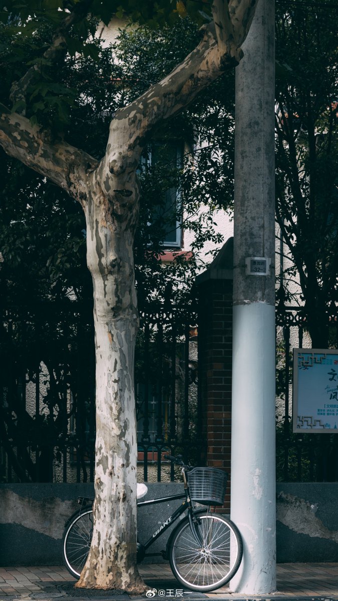 KeremGulerzcm0's tweet photo. Catching a quiet moment on the city’s side street—sunlight filtering through alley leaves, a lone bike leaning against the brick wall. #StreetSnap https://t.co/JndUFULxNe