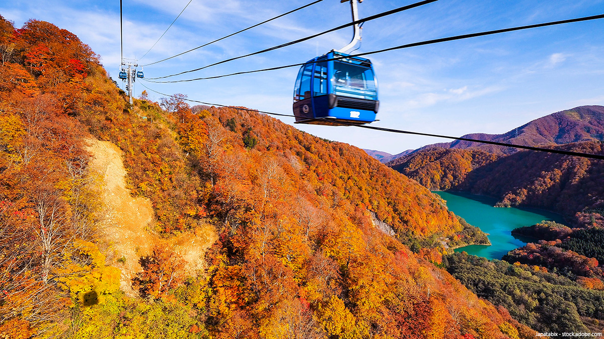 tlife_hd's tweet photo. ／
全国紅葉ツアー🍁
＼

秋になり、紅葉が見頃を迎える季節🍁
京都���古都を彩る紅葉から、東北の雄大な秋景色まで✨
全国各地の絶景を楽しむ旅へ出かけませんか？

▼ツアー特集はこちら▼
https://t.co/wojBawoqWc

#紅葉 #国内旅行 https://t.co/3fHS8NWaaj