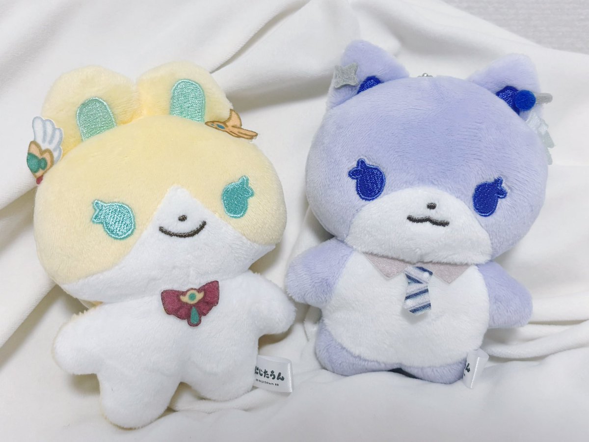 pponttpont's tweet photo. きた！うちのぽんたうん、余裕感があってカッコイイ
りかたうん、待っててな https://t.co/AgVLPbbu1P