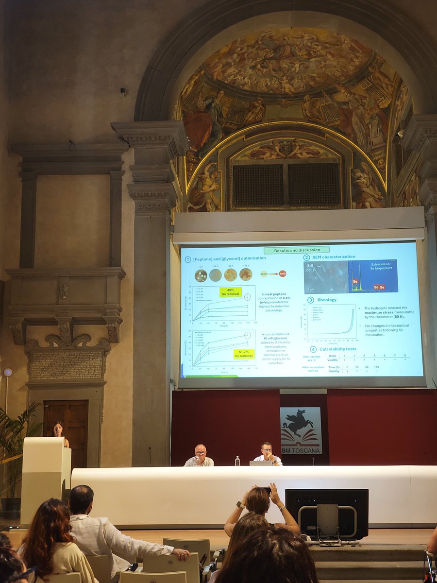 microlab103's tweet photo. Last June, our PhD Students Eduardo and @esther_peula had the pleasure of attending #BioRemid2026.

It was a great opportunity to share knowledge, exchange ideas, and connect with researchers working in the field of bioremediation. 🌱🔬

Grateful for this inspiring experience! https://t.co/xQhLcdDORi