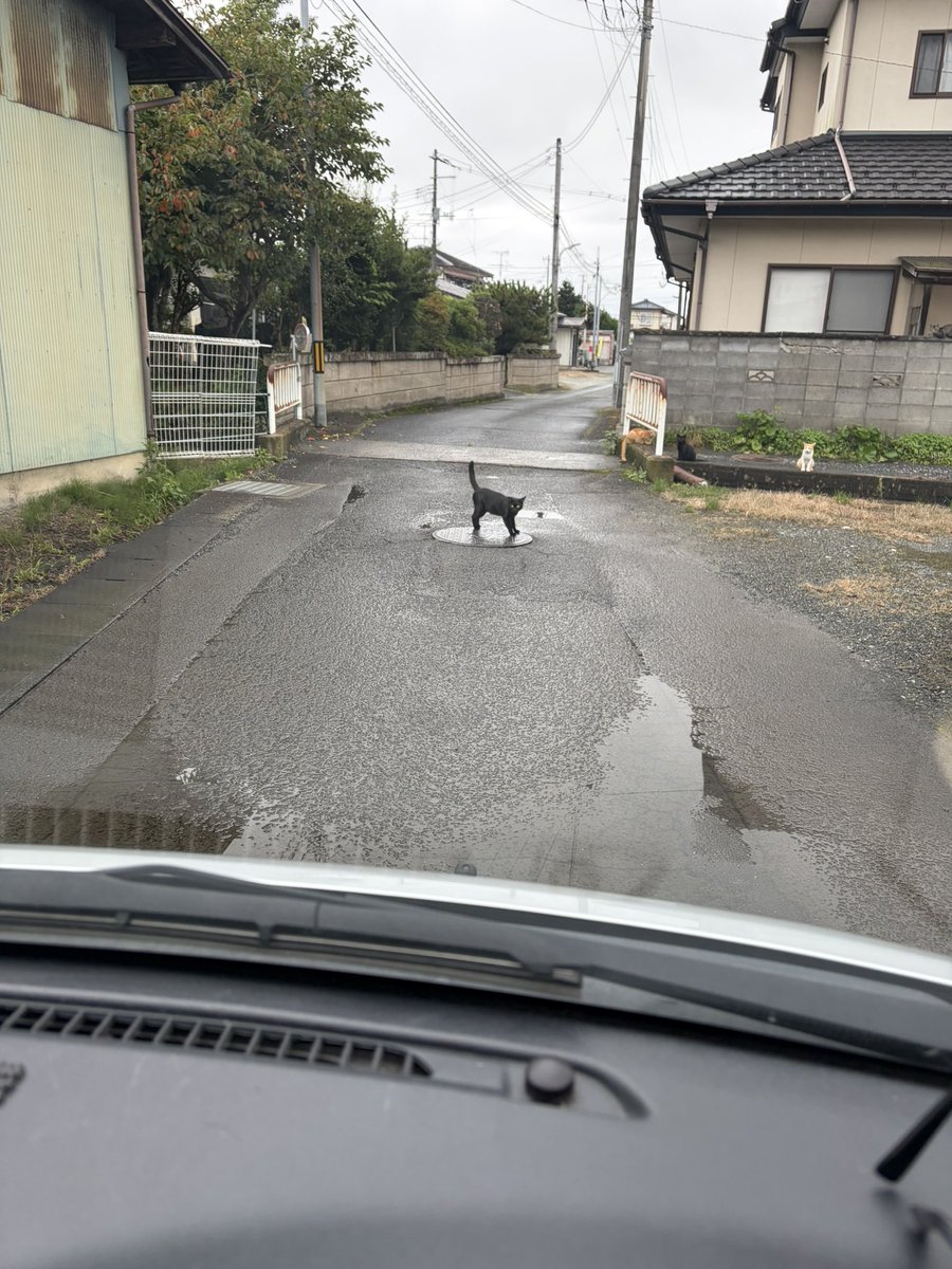 ff14daidaidai's tweet photo. 流石に気合い��ってる https://t.co/HouvTYJ4iT